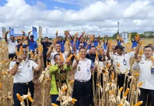 Lapas Kupang Sulap Lahan Batu Karang Jadi Simbol Ketahanan Pangan NTT