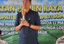Wakil Bupati Sumba Timur Hadiri Panen Raya Padi Sawah di desa Palanggai