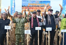 Bupati Kupang Hadiri Panen Raya Jagung di Lapas Kupang