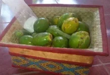 Oko Mama Jadi Simbol Ketulusan Hati Masyarakat Timor