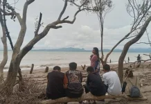 Keasrian Pantai Kelapa Tinggi Tawarkan Wisata Alam Menenangkan
