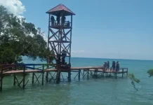 Pesona Ndii Lifu, Mangrove Tertua di Rote Ndao