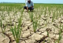 Perubahan Iklim Ancam Kepunahan Ribuan Spesies Tumbuhan Dunia