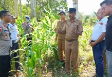 Bupati Sumba Barat Bahas Hibah Tanah Pembangunan Markas