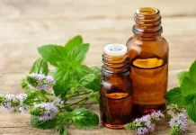 Aroma yang Tidak Disukai Tikus, Peppermint Salah Satunya