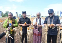Lapas Kupang Sulap Lahan Tandus Jadi Kebun Produktif
