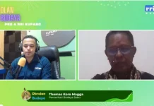 Tarian Ledo, Warisan Budaya Sabu yang Sarat Makna dan Filosofi