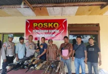 Penyerahan Senjata Rakitan dan Sajam Pemulihan Kamtibmas Pasca Konflik Adonara
