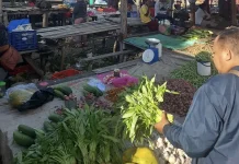 Sensus Ekonomi 2026 Dukung Pengembangan UMKM dan Ekonomi Rote Ndao
