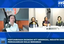 Ekonomi NTT Tumbuh Positif, UMKM dan Industri Semakin Bergerak