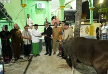 Wagub Johni Asadoma Sebut Bantuan Kurban Wujud Toleransi di NTT