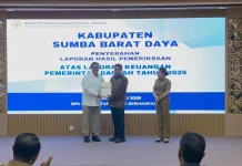 Bupati Ratu Ngadu Terima Penghargaan Opini WTP BPK