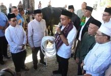 Gubernur Melki Sebut Bantuan Sapi Kurban Presiden Prabowo Perkuat Persatuan NTT