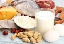 Makanan Tinggi Protein untuk Energi Seharian