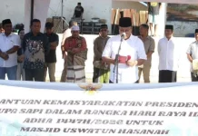 Iduladha 1447 H, Sumba Barat Terima Bantuan Sapi Kurban