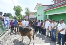 Bupati Kupang Serahkan 4 Hewan Kurban di Beberapa Masjid