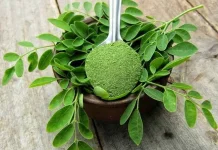 Jamu Daun Kelor: Segar Alami, Sehat Setiap Hari