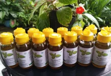 Tanaman Herbal NTT Bisa Jadi Produk Unggulan Daerah