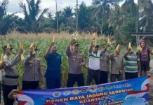Polres Sumba Timur Genjot Sektor Jagung dan Hortikultura Redam Inflasi Pangan