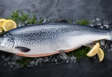 Ikan Salmon Baik untuk Tumbuh Kembang Bayi