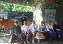 Telkomsel Salurkan Bantuan Hewan Kurban Melalui Program CSR  Sambungkan Senyum