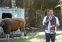 Program Keagamaan Konsisten Berjalan, Bupati Kupang Serahkan Empat Hewan Kurban