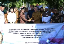 Christian Widodo Serahkan Hewan Kurban untuk Warga Kupang