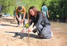 Aksi  Penanaman Mangrove  Pantai Oesapa Barat Kota Kupang