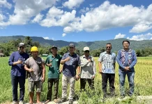 BULOG Serap 3 Juta Ton Gabah-Beras, Stok CBP Tembus Rekor 5 Juta Ton