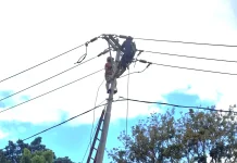 PLN Terangi Dusun Tetes di Manggarai Timur Berikan Pelayanan Listrik Merata