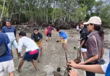 Upaya Pembersihan Pesisir oleh PPA Bersifat Insidental
