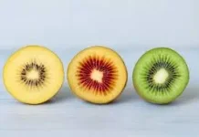 Pentingnya Mengenal Nilai Gizi pada Buah Kiwi