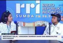 Sertifikat Halal Mampu Meningkatkan Daya Saing Sektor UMKM