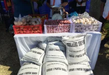 Pupuk Bokashi Jadi Produk Andalan Siswa SMK Pantai Baru