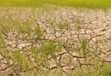 BMKG NTT Imbau Masyarakat Waspada Menghadapi Potensi Penguatan Fenomena El Niño