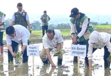 Usman Husin Gerakan Tanam Serempak Perkuat Ketahanan Pangan