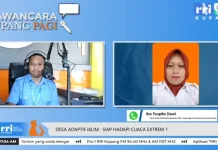 Kemendes PDT Dorong Desa Berketahanan Iklim Hadapi Bencana