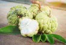 Manfaat Buah Srikaya untuk Kesehatan
