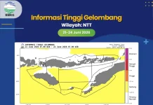 Peringatan Dini BMKG, Gelombang Laut Sedang Melanda Perairan Rote