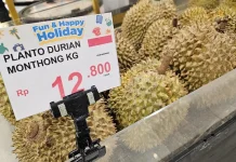 Usman Husin Salurkan Bibit Durian Bernilai Ekonomi Tinggi