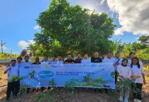 Warnai HUT ke-24 PLN NTT, PLN UP2B NTT Hijaukan Lingkungan