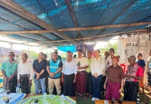 PLN Nyalakan Listrik Bagi 24 KK Warga Pau di Manggarai Barat