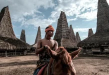 Budaya Sumba di Mata Dunia: Dari Tradisi Lokal Menjadi Warisan Global