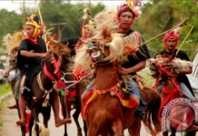 Filosofi Kuda dalam Kehidupan Sosial Masyarakat Sumba