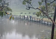 Kabut Mutis dan Pesona Danau Nefokaenka, Obat Pelepas Penat dari Panasnya Kota