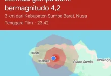 Sumba dan Aktivitas Seismik: Memahami Penyebab Gempa yang Berulang