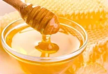 Ketahui fakta Seputar Manfaat Madu untuk Diet