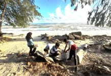 Jaga Pesona Pantai Walakiri, PLN  Sumba Timur dan Warga Gelar Aksi Bersih Lingkungan