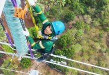 PLN Gerak Cepat Tangani Anomali Isolator di Transmisi Panaf-Bolok