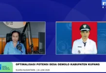 Potensi Jagung Didorong Jadi Penggerak Ekonomi Masyarakat Desa Oemolo